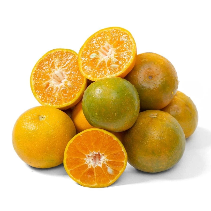 100++ Siam Orange Seeds (Citrus reticulata) - Premium Quality Exotic Sweet Citrus Seeds