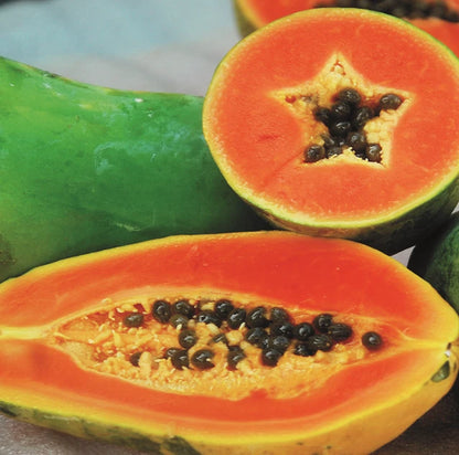 Premium 'Havana' Papaya Seeds (Carica papaya) – F1 Hybrid High-Yield Sweet Cuban Type Tropical Fruit Seeds (150 Count)