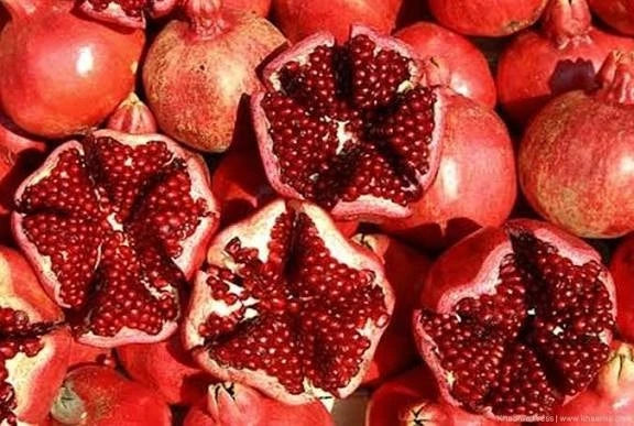 Premium Afghan Pomegranate Seeds (Punica granatum) – Heirloom Middle Eastern Exotic Fruit Seeds for Planting (100+ Pcs)