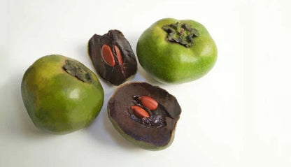 Black Sapote Seeds (Diospyros nigra / 50+ Chocolate Pudding Fruit Tree Seeds) – Premium Exotic Botanical Specimen Plant Seeds for Planting