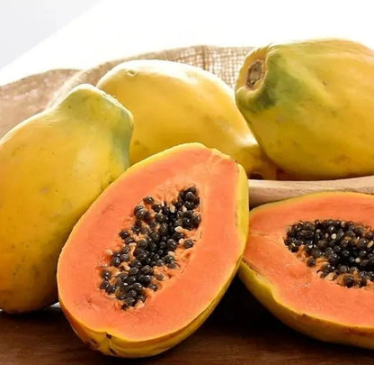 Extra Sweet Formosa Papaya Seeds (Carica papaya) – Giant Tropical Fruit Seeds for Planting
