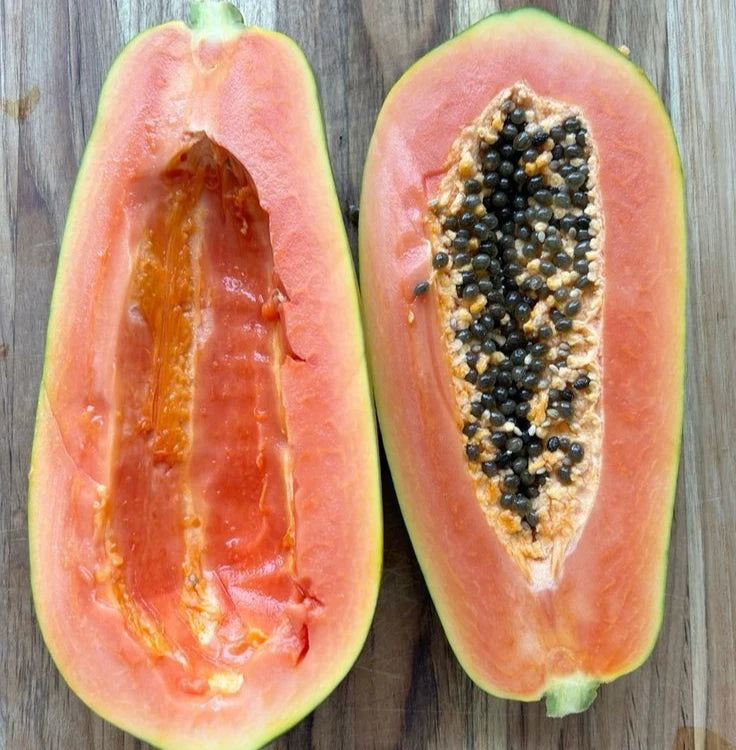 Red Arjuna Papaya Seeds (Carica papaya 'Red Arjuna') – 150+ Premium Fresh Sweet F1 Hybrid Red Arjuna Papaya Seeds