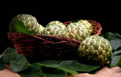 Green Sugar Apple Seeds (Annona squamosa) – Premium Certified High-Yield Sweet Custard Apple Fruit Tree Seeds for Planting (20+ Pcs)