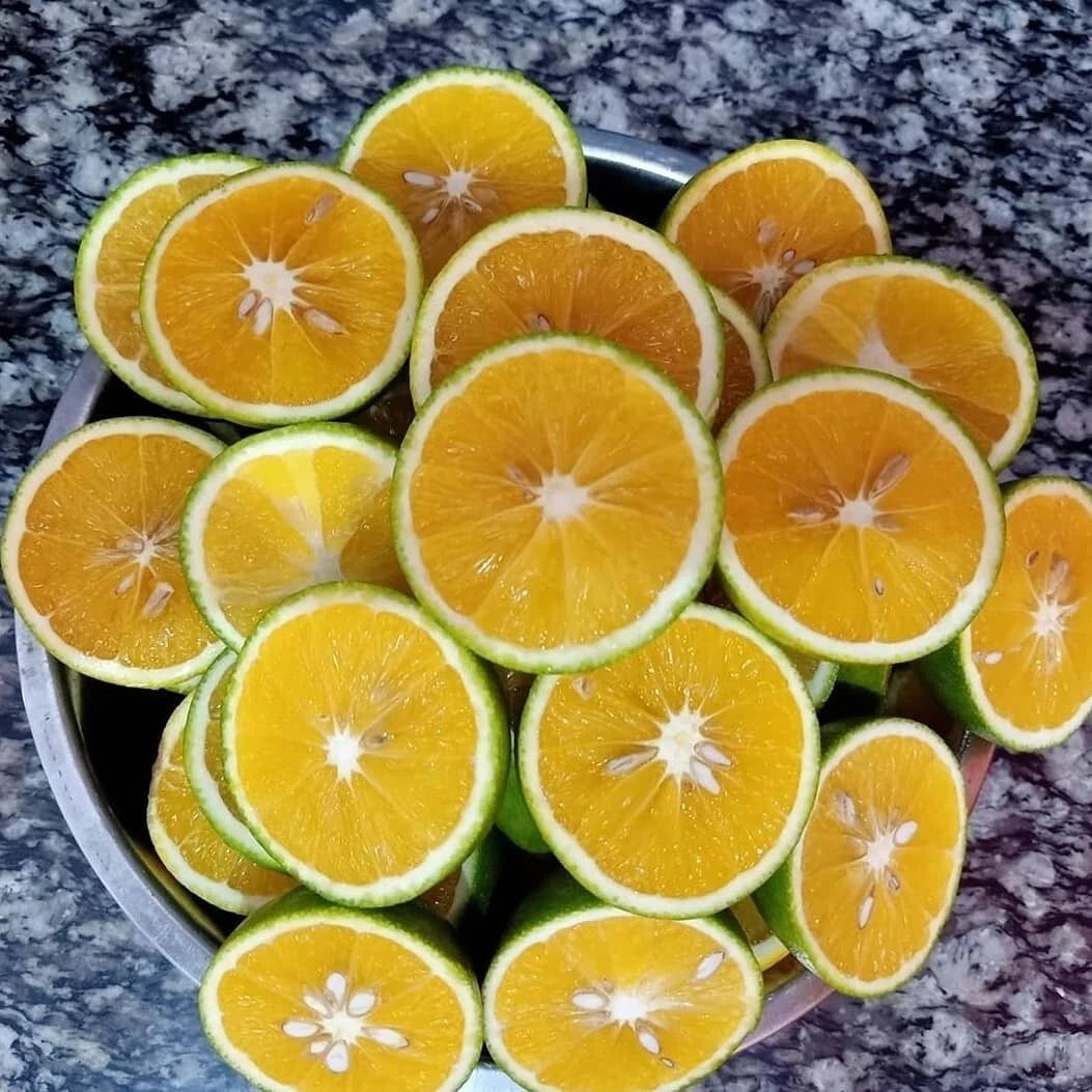 Baby Java Orange Seeds (Citrus reticulata var. Baby Java / 100+ Fresh Sweet Citrus Fruit Seeds) – Premium Gourmet Tropical Citrus Plant Seeds for Planting