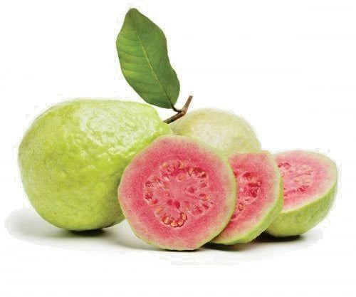 Red Manila Guava Seeds 250+ (Psidium guajava 'Red Manila') – Bulk Sweet Tropical Fruit Tree & Orchard Crop Seeds for Planting