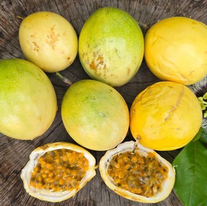 Yellow Passionfruit Seeds 150+ pcs (Passiflora ligularis) – Premium Certified Yellow Granadilla Sweet Passion Fruit Vine Plant Seeds for Planting
