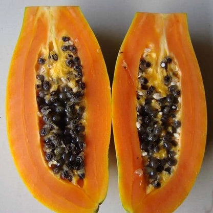 Dwarf India Pusa Papaya Seeds (Carica papaya 'Pusa Dwarf') – 150+ Premium Fresh High-Yield Patio-Size Sweet Papaya Seeds