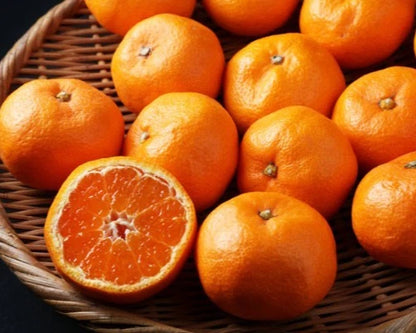 Iyokan Orange Seeds (Citrus iyo / 100+ Premium Japanese Sweet Citrus Fruit Seeds) – Premium Exotic Botanical Specimen Plant Seeds for Planting