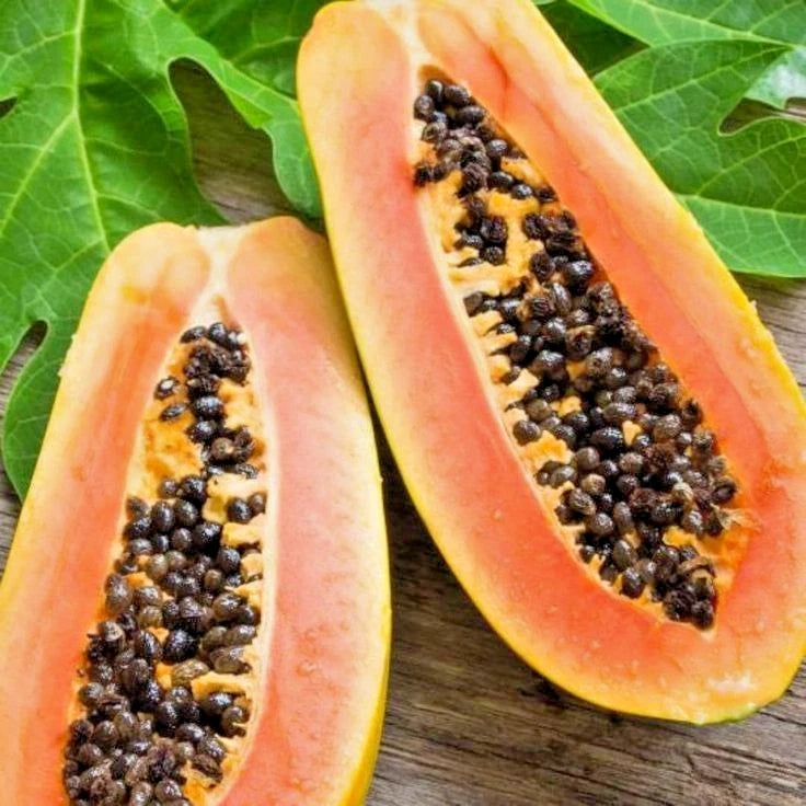 Big Formosa Papaya (Carica papaya) – 1,000+ Premium Seeds