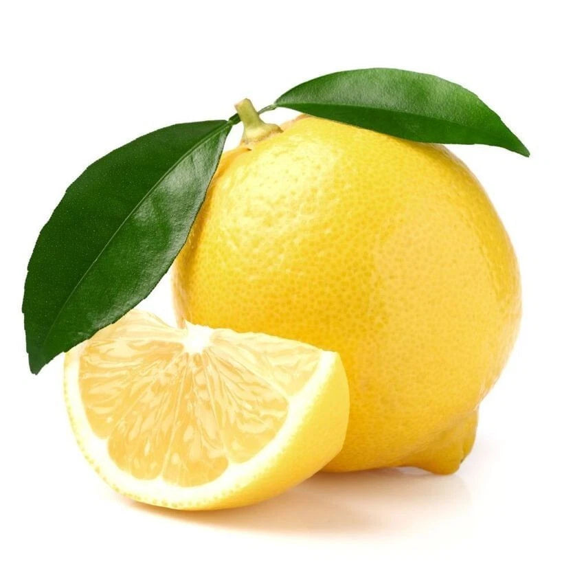 2,000+ Limonetta Sweet Lemon Seeds (Citrus limetta) – Premium Sweet Mediterranean Limetta & Exotic Citrus Fruit Tree Seeds for Planting