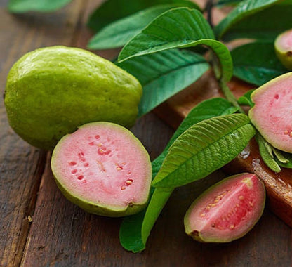 Red Guava Seeds 250+ pcs (Psidium guajava 'Kencana') – Premium Certified Kencana Red Guava Fruit Tree Plant Seeds for Planting