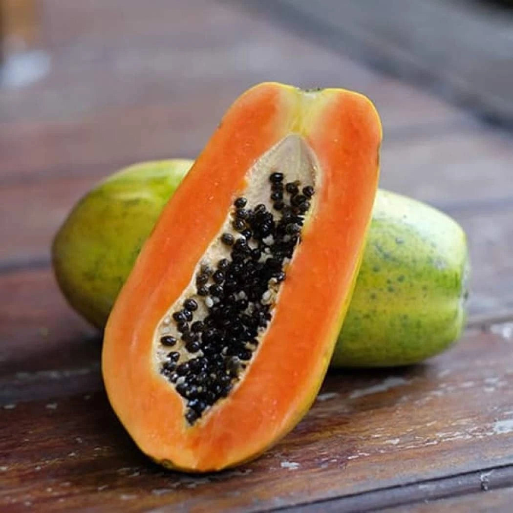 Bulk Carisya Papaya Seeds (Carica papaya 'Carisya') – 150+ Premium Fresh Rare Compact Indonesian Sweet Mini Papaya Seeds for Planting