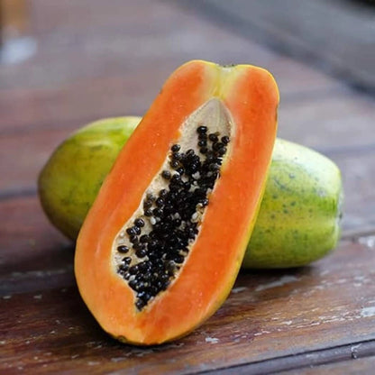 Bulk Carisya Papaya Seeds (Carica papaya 'Carisya') – 150+ Premium Fresh Rare Compact Indonesian Sweet Mini Papaya Seeds for Planting