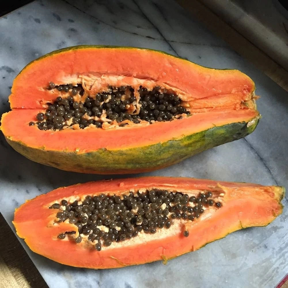 Dwarf Hybrid Papaya (Carica papaya) – 1,000+ Premium Seeds