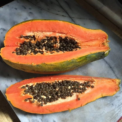 Dwarf Hybrid Papaya (Carica papaya) – 1,000+ Premium Seeds