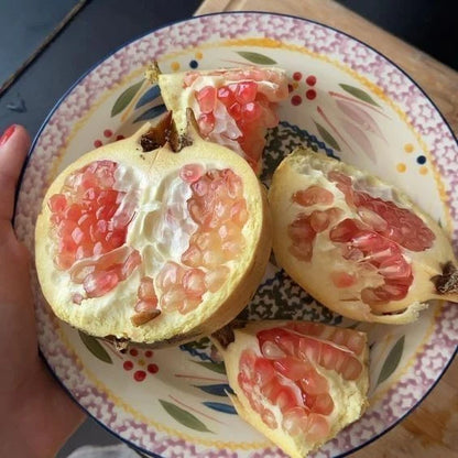 White Wonderful Pomegranate Seeds (Punica granatum 'White Wonderful') – 100+ Premium Fresh Rare Sweet White Pome Seeds