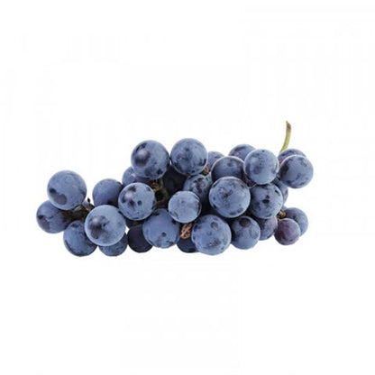 Black Muscat Grape Seeds (Vitis vinifera 'Black Muscat') – Premium Certified Old-World Muscat Wine and Table Grape Fruit Vine Seeds for Planting