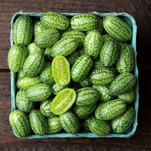 Bulk Cucamelon Mexican Sour Gherkin Seeds (Melothria scabra) – 100+ Premium Fresh Rare Exotic Sweet-Tangy Mini Watermelon Cucumber Seeds for Planting
