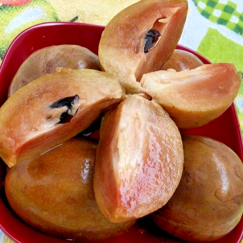 35+ Sapodilla Honey Seeds (Manilkara zapota / Sweet Honey Chico Fruit Tree / Premium Brown Sugar Sapote) – Premium Tropical Fruit Tree & Orchard Seeds for Planting