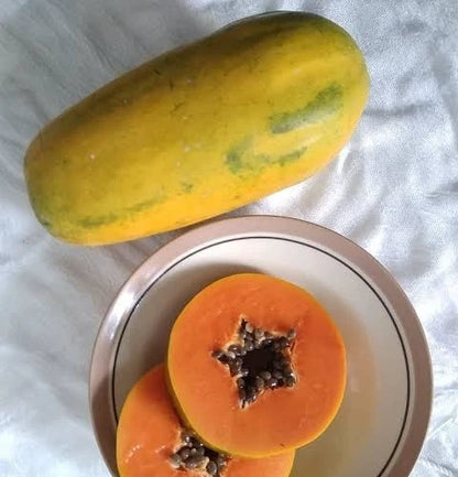 Red Maradona Papaya Seeds (Carica papaya) – 150 Premium High-Yielding Deep Red Sweet Papaya Seeds