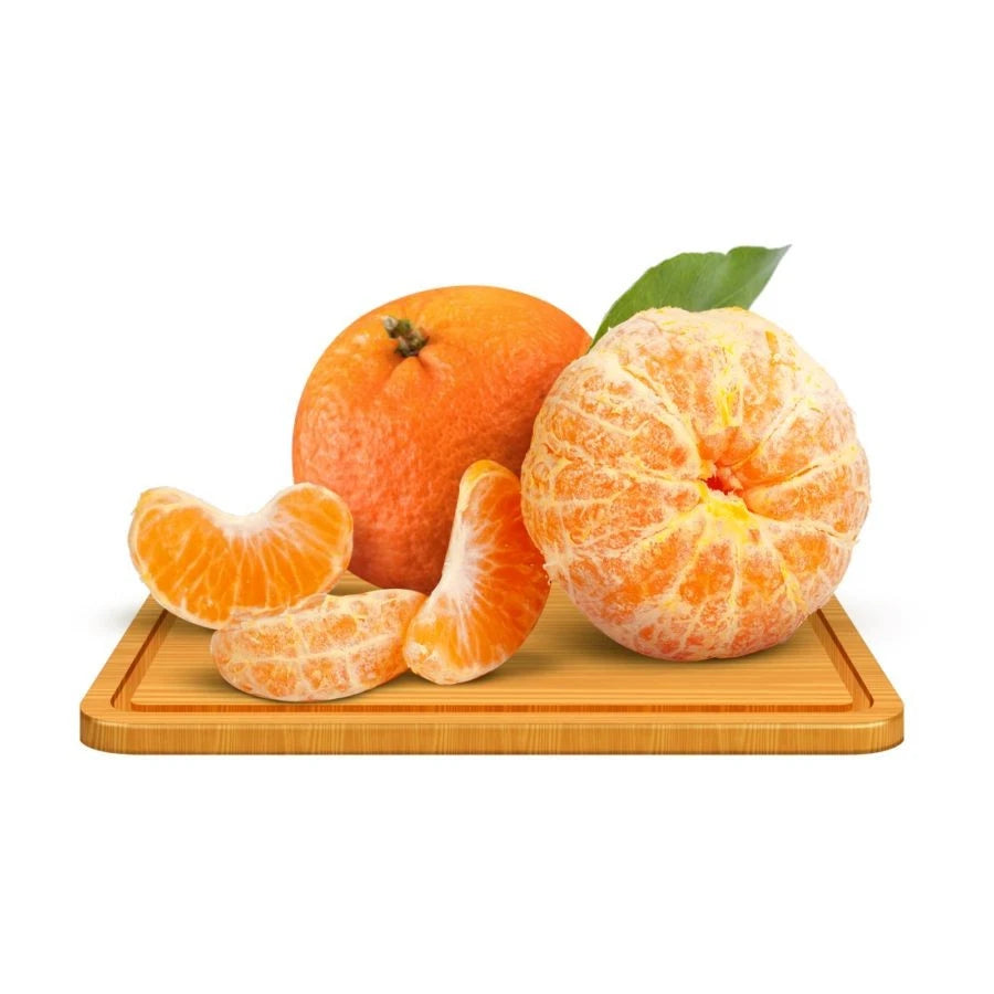 Fresh Mandarin Orange Seeds (Citrus reticulata) – Premium Sweet Tangerine Fruit Tree Seeds for Planting (100+ Pcs)