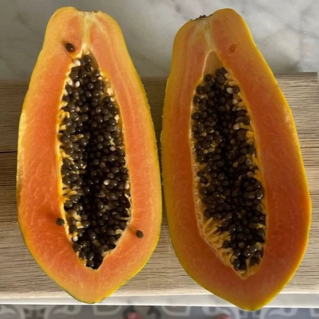 Bulk Red Caribbean Papaya Seeds (Carica papaya 'Red Caribbean') – 150+ Premium Fresh Rare Massive Sweet Red Papaya Seeds for Planting