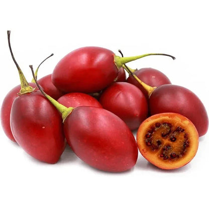 Exotic Tree Tomato (Solanum betaceum) – 1000+ Premium Red Tamarillo Seeds