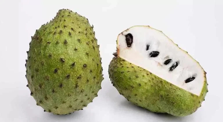 Premium Soursop Seeds var. Brazilian Sweet (Annona muricata 'Brazilian Sweet') – High-Yield Sweet Guanabana Fruit Seeds for Planting (100 Pcs)