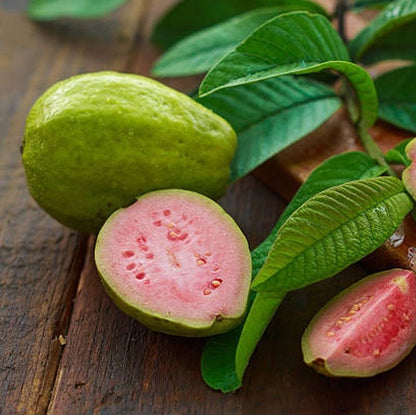 250+ Red Kencana Guava Seeds (Psidium guajava Pink Fleshed / Premium Indonesian Sweet Guava) – Premium Exotic Fruit Tree & Orchard Seeds for Planting