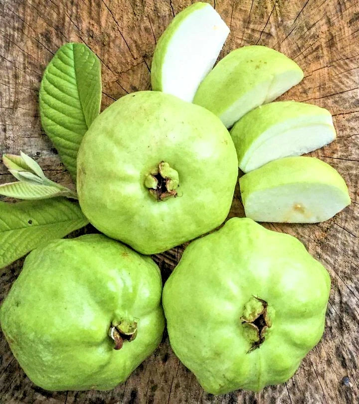 250+ White Crystal Guava Seeds (Psidium guajava L.) – Premium Crisp & Sweet Tropical Fruit Tree Seeds for Planting