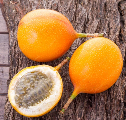 Koyal Passionfruit Seeds 150+ pcs (Passiflora ligularis) – Premium Certified Sweet Granadilla Exotic Fruit Vine Plant Seeds for Planting