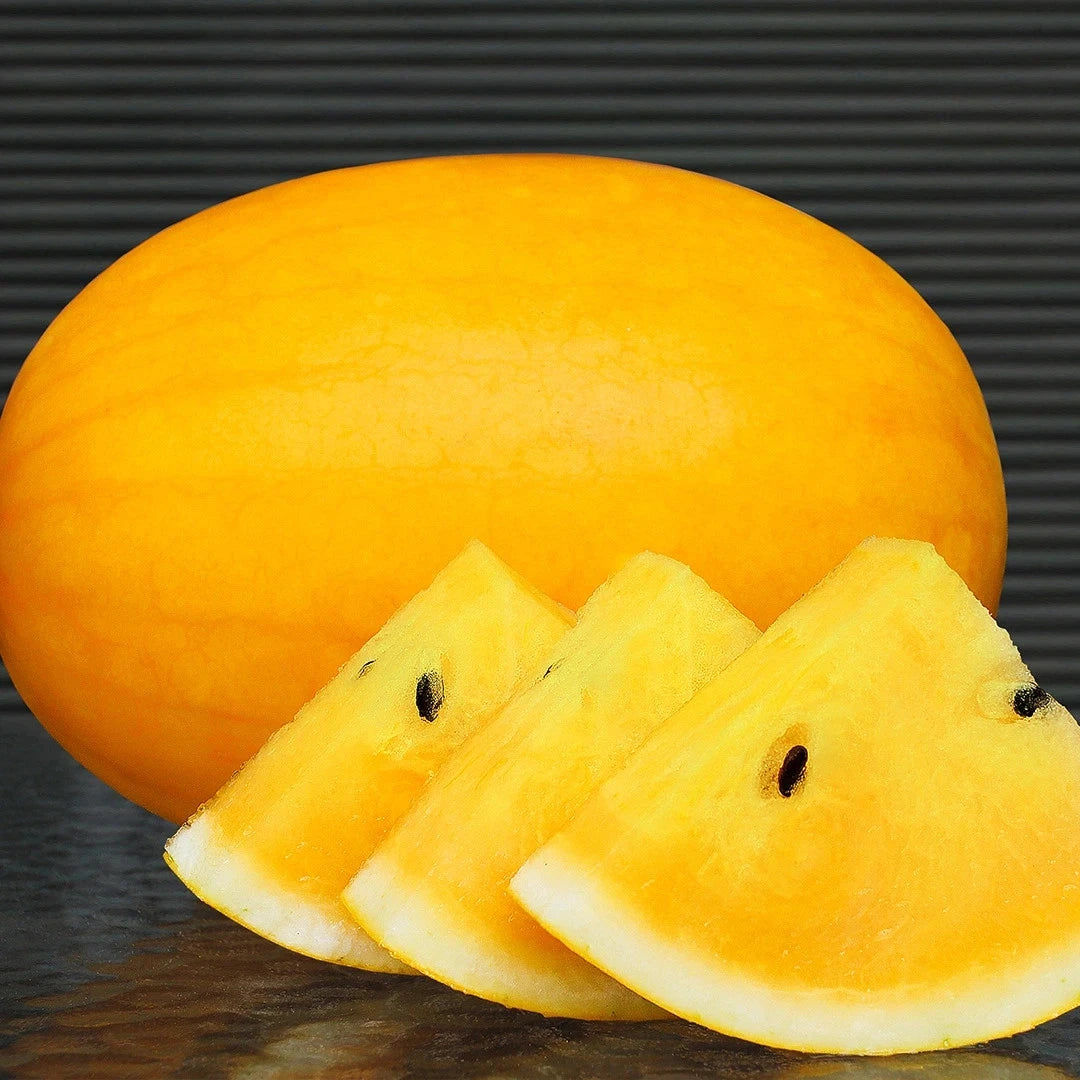 Watermelon Seeds 20+ pcs Bundle (Citrullus lanatus) – 4-Cultivar Garden Package Premium Certified Sweet Melon Fruit Plant Seeds for Planting