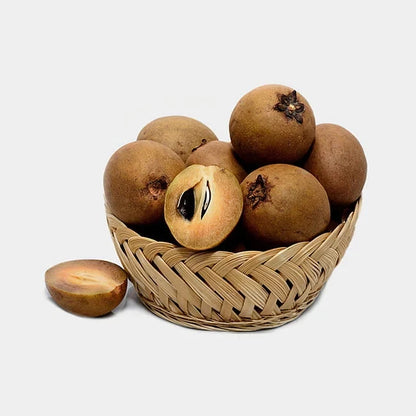 Premium Chikito Dwarf Sapodilla Seeds (Manilkara zapota var. Chikito) – Compact Chico Zapote Exotic Fruit Seeds for Planting (35+ Pcs)