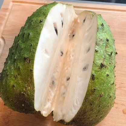Premium Arusha Variety Soursop Seeds (Annona muricata var. Arusha) – Giant Sweet Tropical Graviola Fruit Tree Seeds for Planting (100+ Pcs)