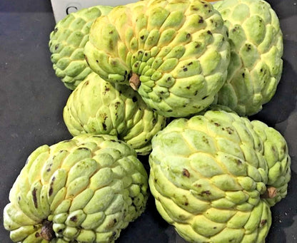 Big Australian Sugar Apple Seeds (Annona squamosa) – 1.000+ Premium Heirloom Giant Australian Custard Apple Seeds for Planting