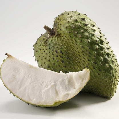 Big Honey Soursop Seeds (Annona muricata) – Var. Honey – 40+ Fresh Tropical Fruit Seeds