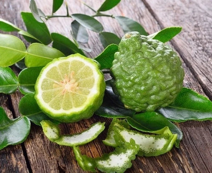 Kaffir Lime Seeds (Citrus hystrix) – 30++ Premium Fresh Makrut Lime / Double-Leaf Citrus Seeds for Planting