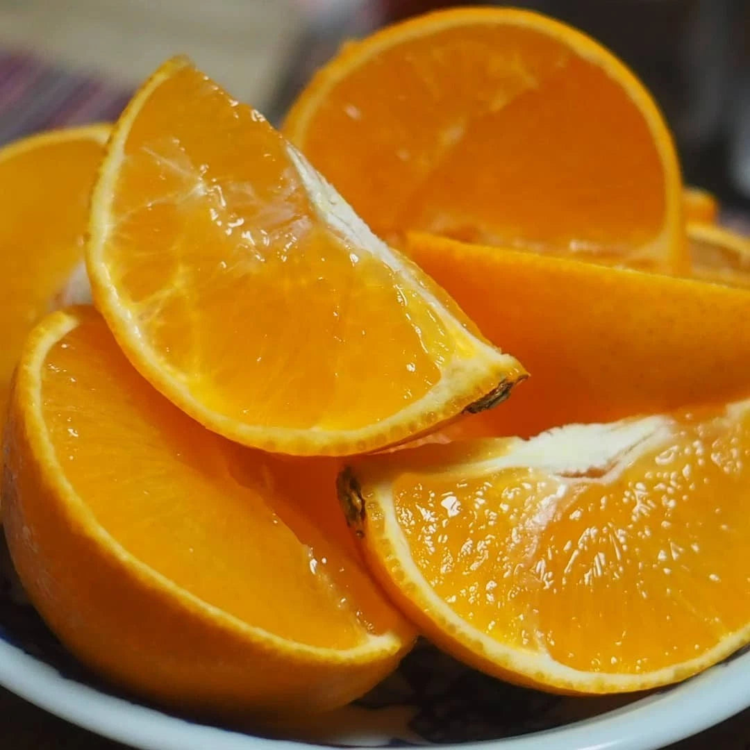 Beni Madonna Orange Seeds 300+ (Citrus reticulata 'Beni Madonna' / Ehime 28) – Bulk Rare Japanese Luxury Citrus Fruit Tree Seeds for Planting