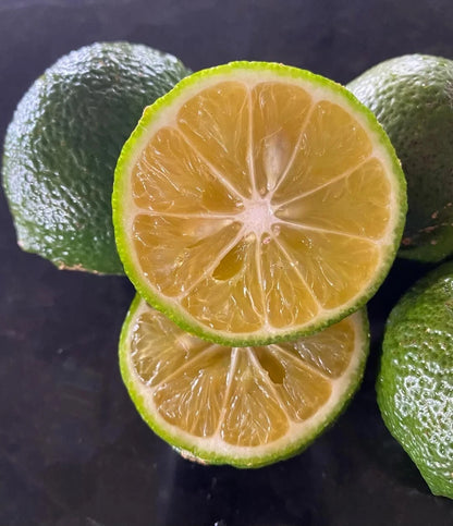 100+ Calamansi Kasturi Orange Seeds (Citrus microcarpa / Calamondin / Acid Citrus Tree) – Premium Exotic Fruit Tree & Orchard Seeds for Planting