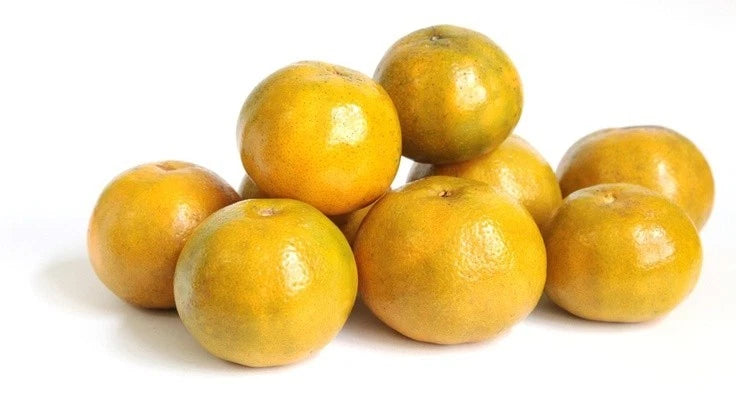 Siam Orange Seeds (Citrus Reticulata) – Certified Heirloom Exotic Mandarin Fruit Crop for Planting