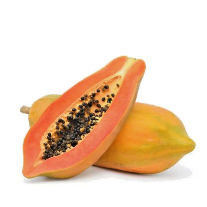 Red Lady Papaya Seeds (Carica papaya 'Red Lady') – Premium High-Yield Sweet Red Fleshed Exotic Fruit Tree Seeds for Planting (150 Pcs)