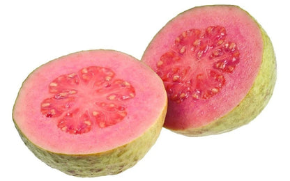 250+ Red Sumbing Guava Seeds (Psidium guajava Pink Fleshed / Mount Sumbing Exotic Sweet Guava) – Premium Exotic Fruit Tree & Orchard Seeds for Planting