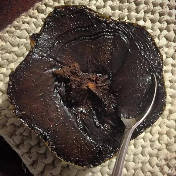 Matt's Giant Black Sapote Seeds (20 pcs) - Authentic Diospyros nigra Chocolate Pudding Fruit Seeds