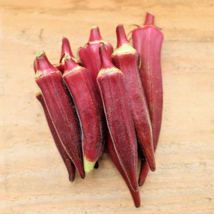 Red Okra Seeds (Abelmoschus esculentus) – 1.000++ Premium Heirloom Burgundy Red Okra Seeds for Planting