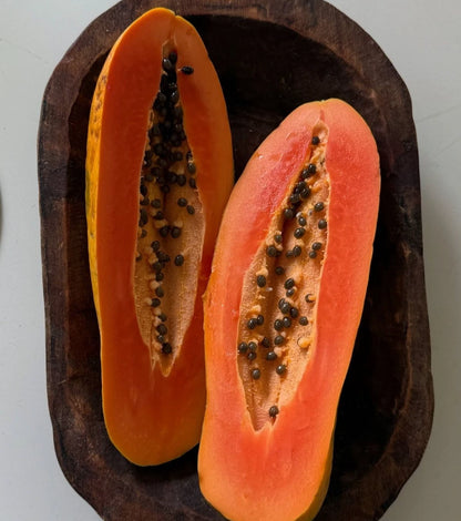 Bulk Red Maradona Papaya Seeds (Carica papaya 'Red Maradona') – 150+ Premium Fresh Rare Sweet Red Maradona Papaya Seeds for Planting
