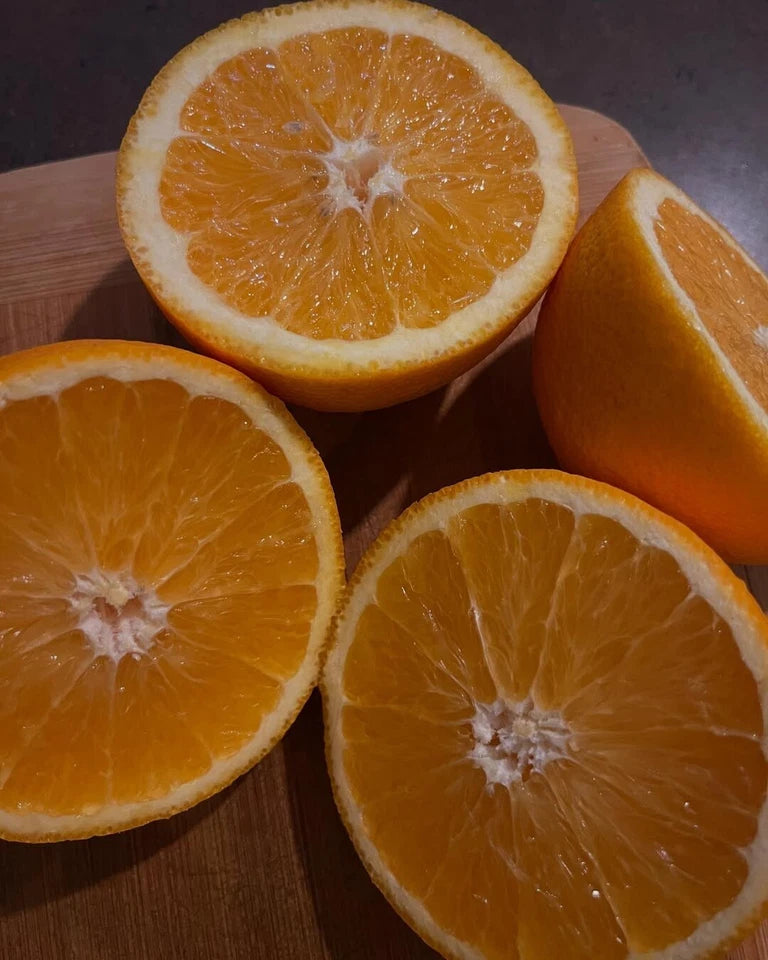 1000+ Navel Orange Seeds for Planting | Citrus sinensis | Sweet Orange Tree Seeds | Bulk Citrus Seeds