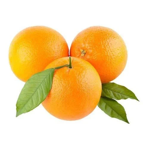 Fresh Valencia Orange Seeds (Citrus sinensis var. Valencia) – Premium Sweet Orange Fruit Tree Seeds for Planting (100+ Pcs)
