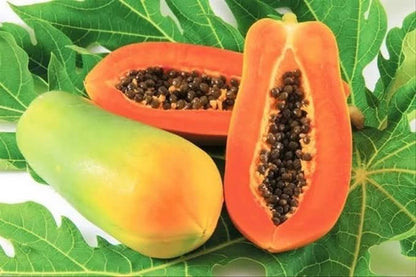 Extra Sweet California Papaya Seeds (Carica papaya) – Fast-Growing Tropical Fruit Seeds for Planting