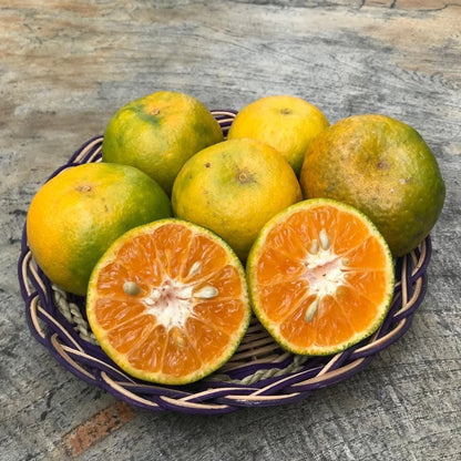 Calamansi Orange Seeds (Citrus × Microcarpa) – Certified Heirloom Philippine Acid Citrus Fruit Crop for Planting