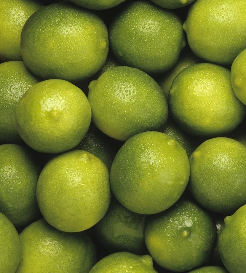 Persian Lime (Citrus latifolia) – 2,000+ Premium Seeds (Tahiti Lime)